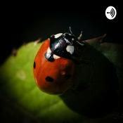 Podcast El jardín de Juanita
