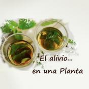 Podcast Esencias y milagros vegetales