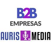 Podcast Estrategias para Empresas B2B