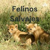 Podcast Felinos Salvajes