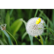 Podcast Finding Your Footing in the Fire of Transformation