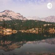 Podcast Forest Management and Politics