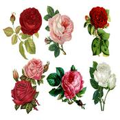Podcast Great Gardening Tips