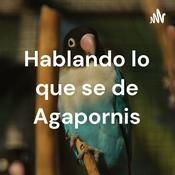 Podcast Hablando lo que se de Agapornis