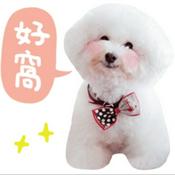 Podcast 好窩寵物溝通