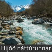Podcast Hljóð náttúrunnar