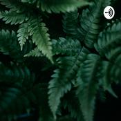 Podcast Immigration