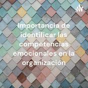 Podcast Importancia de identificar las competencias emocionales en la organización