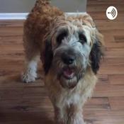 Podcast Into the life as a dog by a dog herself!