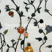 Podcast Investigating Gals