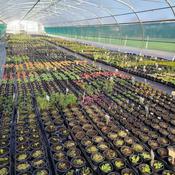 Podcast Jardinage