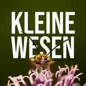 Podcast Kleine Wesen - Große Verantwortung