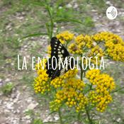 Podcast La entomología