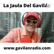 Podcast La jaula del Gavilán