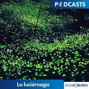 Podcast La luciérnaga