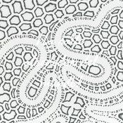 Podcast ¡La salle alrededor del mundo!