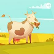 Podcast La Vaca Perdida