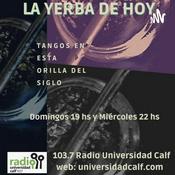 Podcast La Yerba de Hoy