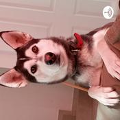 Podcast Las Experiencias