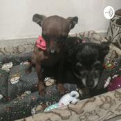 Podcast Los Perros