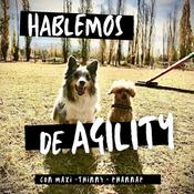 Podcast Hablemos de AGILITY