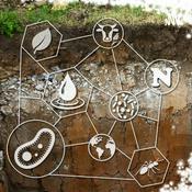 Podcast Microbiología agrícola aplicada
