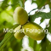 Podcast Midwest Foraging