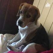 Podcast Mis consejos para afrontar los exámenes