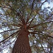 Podcast Motivaciones Personales Y Profesionales