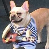 Podcast não recomendo