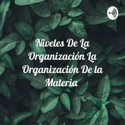 Podcast Niveles De La Organización La Organización De la Materia