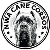 Podcast NWA Cane Corsos Podcast- An All Breed Podcast