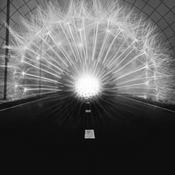 Podcast Objetivo de Luz