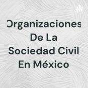Podcast Organizaciones De La Sociedad Civil En México