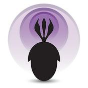 Palaeocast