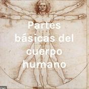 Podcast Partes básicas del cuerpo humano