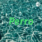 Podcast Perro