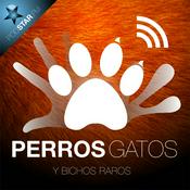 Podcast Perros, Gatos y Bichos Raros