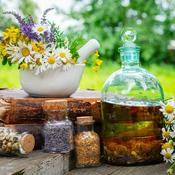 Podcast Plantas Medicinales