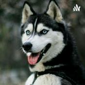 Podcast Podcast De La Novela "Los Ojos Del Perro Siberiano".