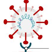 Podcast Podcast Mario Alonso RS