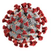 Podcast Recomendations and obligations in the pandemic of Covid-19