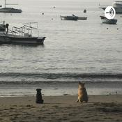 Podcast Reflexiones y Misterios, con Fernando