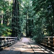 Podcast Reglamento Interno Parcelacion Sendero Tres Puentes