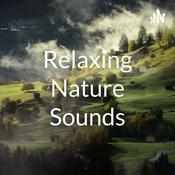 Podcast Relaxing Nature Sounds