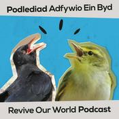Podcast Revive Our World