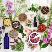 Podcast Saberes tradicionales para la salud