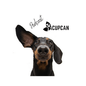 Podcast Salud y bienestar Animal más allá de la medicina tradicional