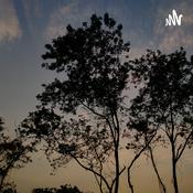 Podcast School Memories