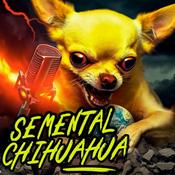Podcast Semental Chihuahua